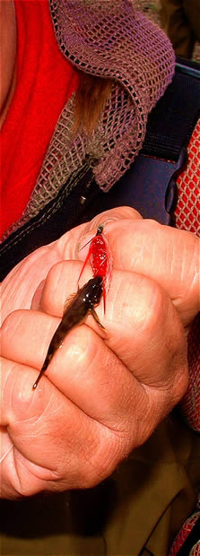 Sculpin on Fly & Bug Jacket - ALASKA RAFT CONNECTION