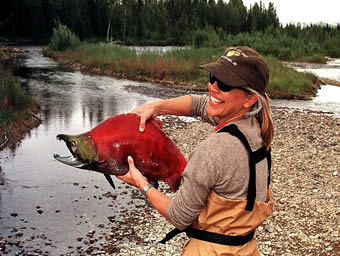 She told me she could not catch a fish??? Big Male Sockeye Red Salmon - ALASKA RAFT CONNECTION